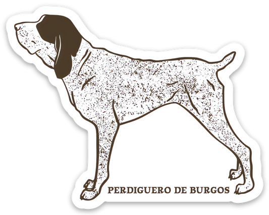 BURGOS POINTER MAGNET